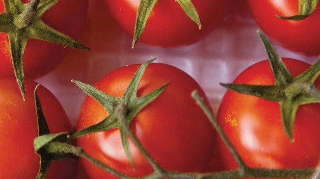Рецепт на обед Салат с творогом и помидорами