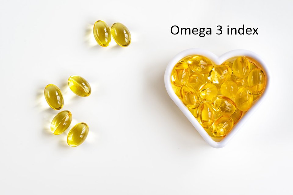 Анализ определение Omega 3 Index